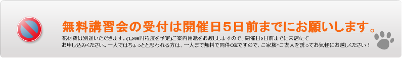 誰でも気軽に素敵なアレンジができちゃう無料講習会！