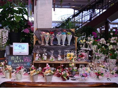 IMGP3205.JPG