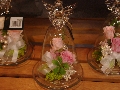 IMGP3186.JPG
