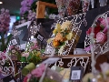 IMGP3195.JPG
