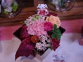 IMGP3207.JPG