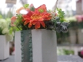 IMGP3223.JPG
