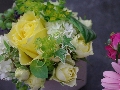 IMGP3241.JPG