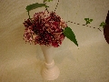 IMGP3011.JPG