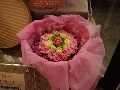 IMGP3180.JPG