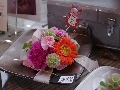 IMGP3355.JPG