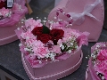 IMGP3372.JPG