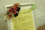 IMGP4307.JPG