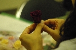 IMGP4296.JPG