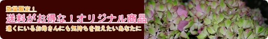 送料がお得なオリジナル商品