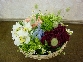 P1000515.JPG
