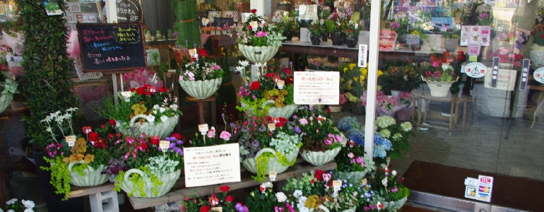 母の日　寄せ植え
