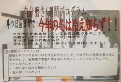フラワーデザインレギュラーコース
