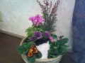正月 寄せ植え